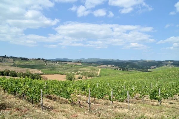 Chianti wijngaard landschap in Toscane, Italië — Stockfoto