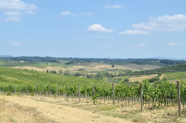 Chianti szőlőültetvény táj Toszkánában, Olaszország — Stock Fotó