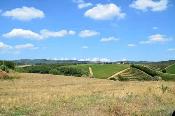 Chianti szőlőültetvény táj Toszkánában, Olaszország — Stock Fotó