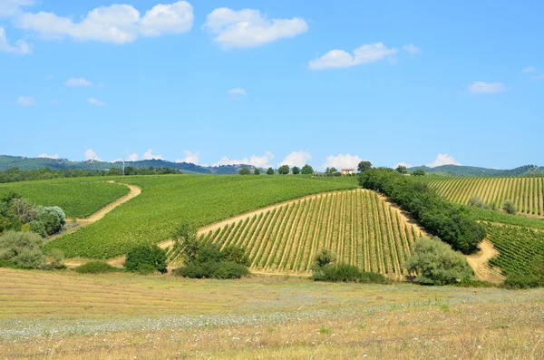 Paisaje del viñedo Chianti en Toscana, Italia — Foto de Stock