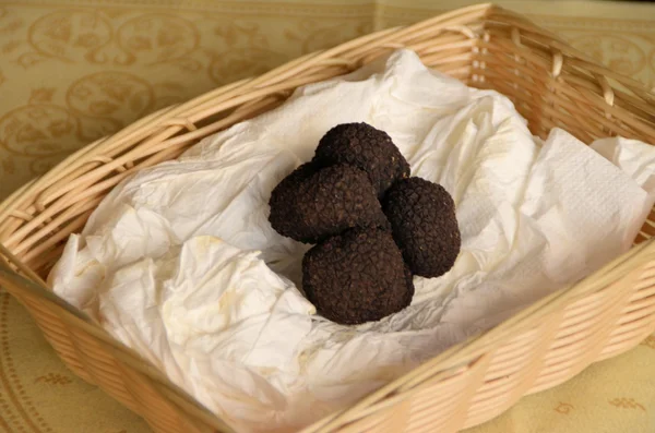 Zwarte truffel — Stockfoto
