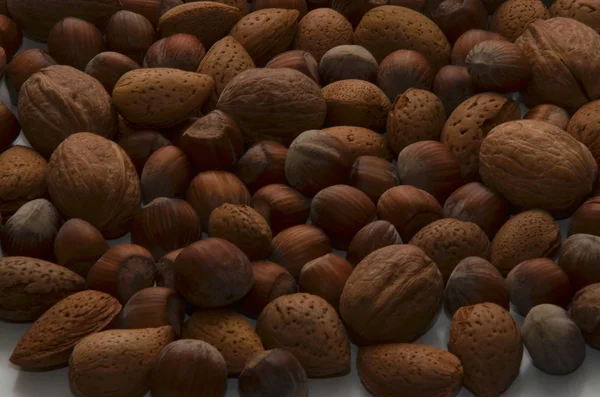 Val av blandade nötter med skal på vit bakgrund — Stockfoto