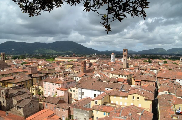 Landschaftsarchitektur in Lucca — Stockfoto