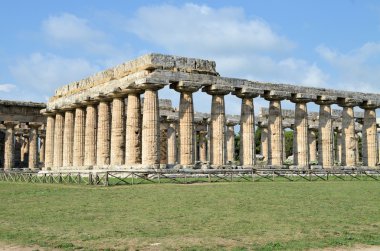 Antik Yunan tapınakları ve ağaçları Güney İtalya