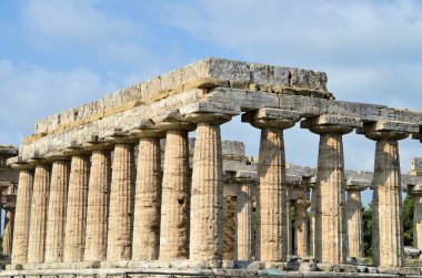 Antik Yunan tapınakları ve ağaçları Güney İtalya