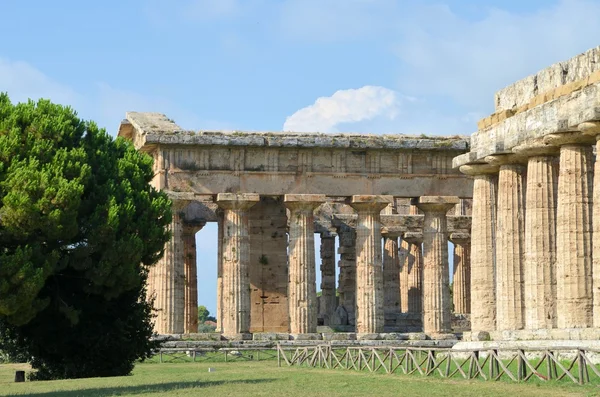 Ancient Greek temples and trees in southern Italy — Stock Photo, Image