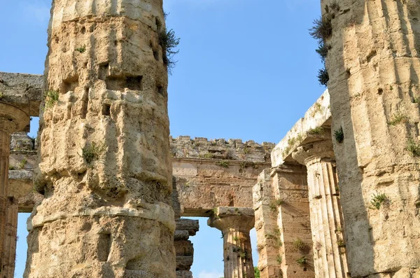 Colonne greche antiche — Foto Stock