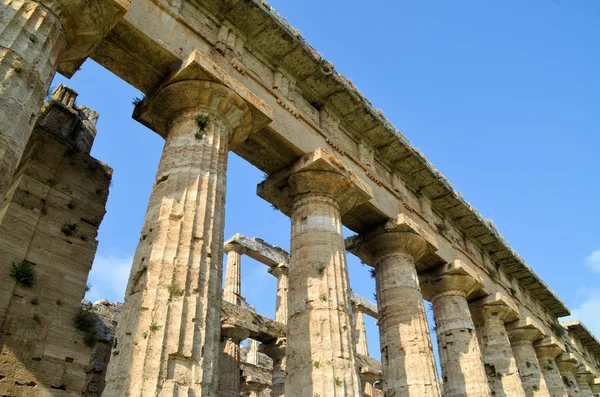 Colonne greche antiche — Foto Stock