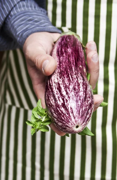 Adamın elinde patlıcan