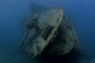 s.s. thistlegorm batık