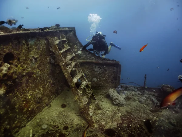 s.s. thistlegorm batık