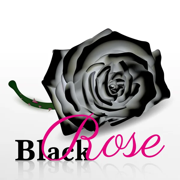 Vecteur rose noire sur fond blanc — Image vectorielle
