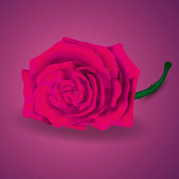 Ροζ τριαντάφυλλο στο πορφυρό υπόβαθρο για την ημέρα του Velentine — Διανυσματικό Αρχείο