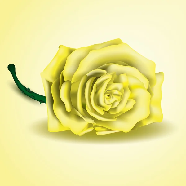 Fleur rose jaune en gros plan — Image vectorielle