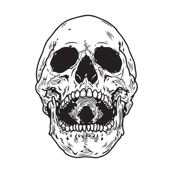 Skull Laughing Hand Drawn Vector Illustration — Vector de stock