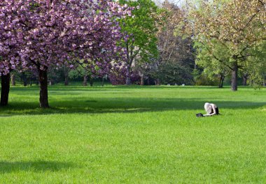 Bahar Parkı