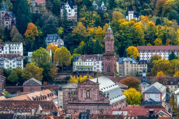 Edificios Históricos Una Colina Heidelberg — Foto de Stock