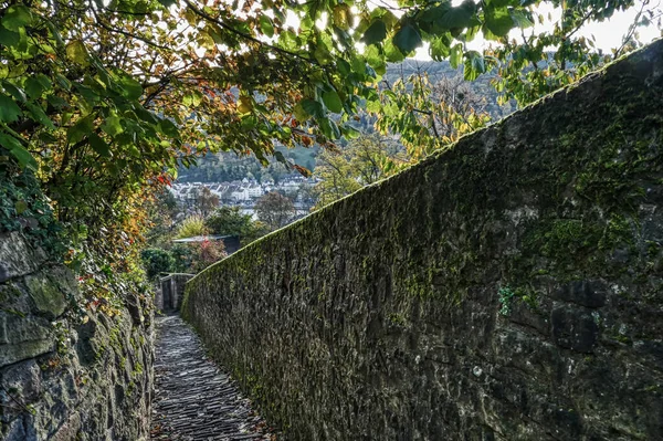 Sentiero Storico Piedi Nelle Colline Vicino Heidelberg — Foto Stock