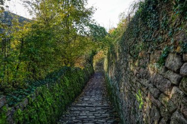 Heidelberg yakınlarındaki tepelere doğru güzel bir tarihi patika.
