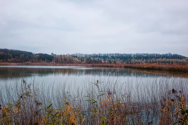 Blick Über Einen Teich Einem Rekultivierten Kalksteinbruch Bei Tnisheide Herbst — Stockfoto