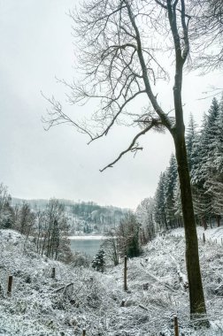 Hagen Haspe 'de bir baraj barajında ağaç ve karlı manzara