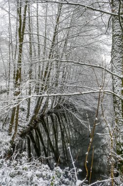Dağlardaki orman gölü Hagen Haspe 'deki baraj barajı karla kaplı.
