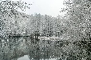 Ormanda göl... dağlarda... Hagen Haspe 'deki baraj barajında...