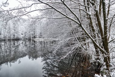 Hagen Haspe 'deki baraj barajının oradaki dağlarda buzlu orman gölü.