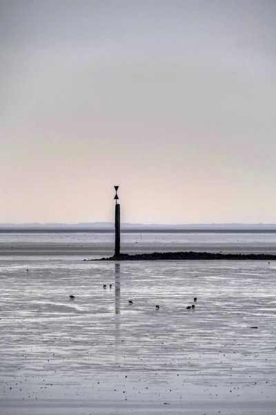 Wadden Sea Low Tide Norddeich — Foto Stock