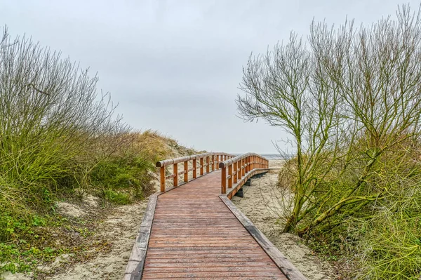 Dune Landscape Path Beach Norddeich — Stock Photo, Image