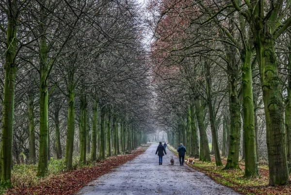 Callejeros Paseos Moenchengladbach Rheydt — Foto de Stock