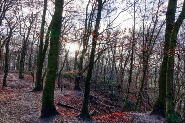 Hiking trail on Liedberg hill in Korschenbroich