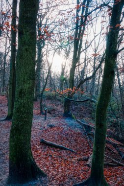 Winter on Liedberg hill in Korschenbroich
