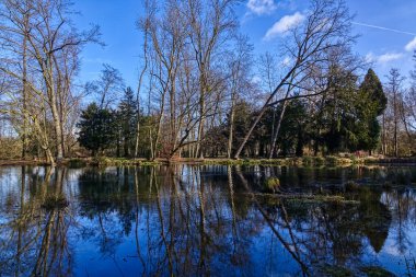Bergheim, Paffendorf 'taki tarihi bir şato parkında gölet ve ağaçlar.