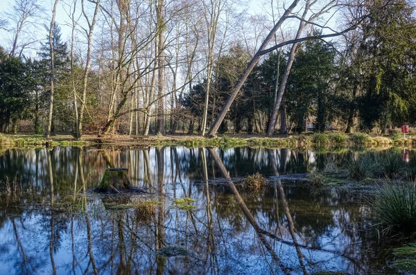 Bergheim, Paffendorf 'taki tarihi bir şato parkında göl manzarası.