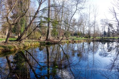Paffendorf, Bergheim 'deki tarihi bir şato parkında park manzarası