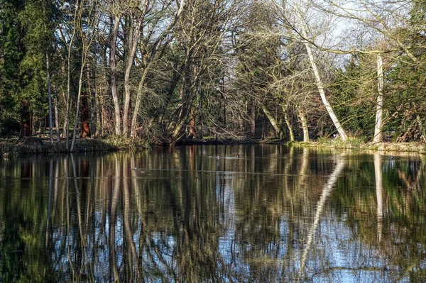 Teich in einem Schlosspark, Paffendorf bei Bergheim