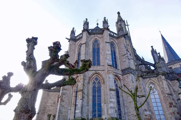 Rear Side Historical Cathedral Xanten — Stock Photo, Image