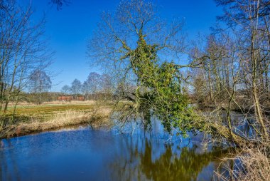 Borken 'deki Bocholt Aa ovalarının su manzarası