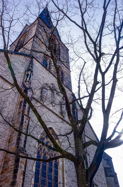 Tour Église Historique Werne — Photo