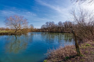 Werne yakınlarındaki Lippe nehri kıyısında manzara ve gümüş söğüt ağacı.