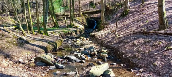 Bäck Och Litet Vattenfall Kaltenbachtaldalen — Stockfoto