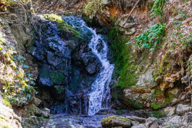 Wuppertal yakınlarındaki Kaltenbachtal vadisinde küçük bir şelale.