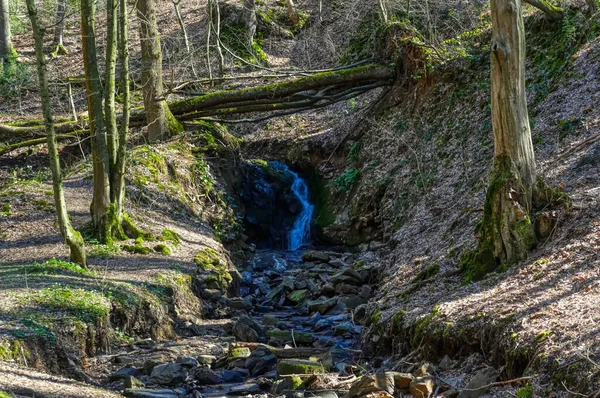 Pequena Cachoeira Riacho Vale Kaltenbachtal Perto Wuppertal — Fotografia de Stock