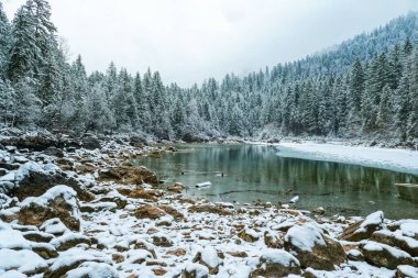 Kışın Grainau yakınlarındaki Frillensee Gölü manzarası
