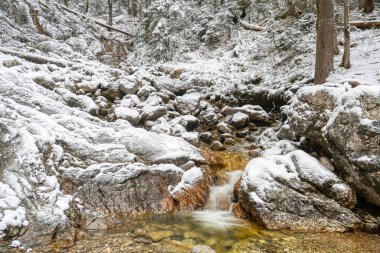 Kışın Grainau yakınlarındaki Eibsee Gölü 'nde bir dere.