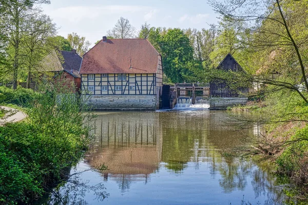 Historische Molen Een Kasteelpark Rheda Wiedenbrck — Stockfoto