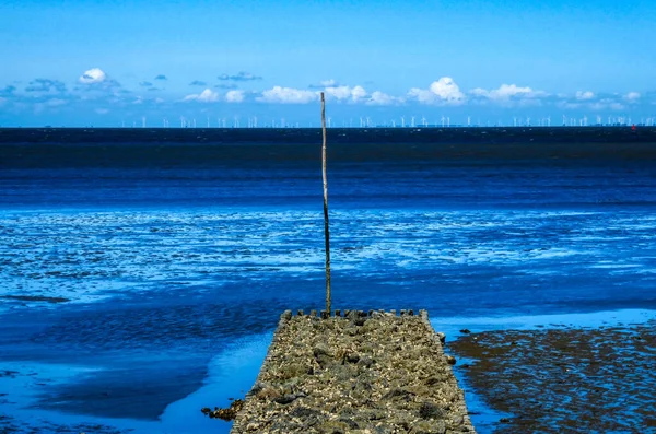 クックスハーフェンの北海ビーチの干潮時のジェティ — ストック写真