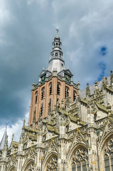 Tower Medieval Cathedral Shertogenbosch — Stock Photo, Image