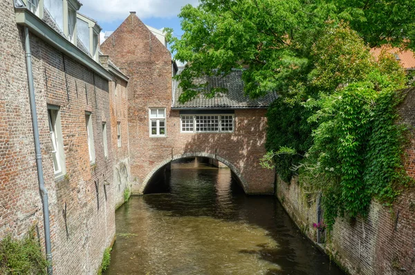 Hertogenbosch 'un tarihi merkezinde romantik bir kanal